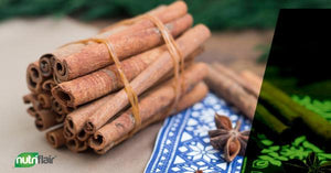 Let’s Talk About Ceylon Cinnamon Supplements