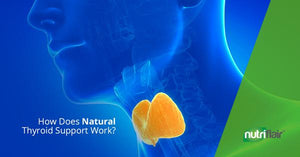 How Does Natural Thyroid Support Work?