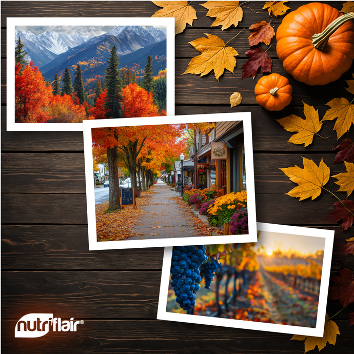 Fall Getaways to Rejuvenate Your Soul and Wellness