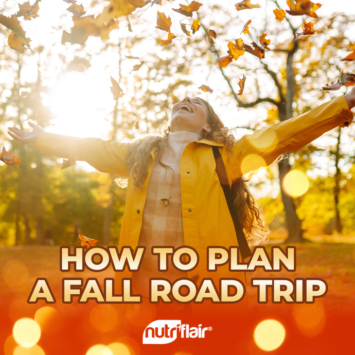 Fall Road Trip Ready: Your Guide to the Perfect Autumn Adventure 🍂