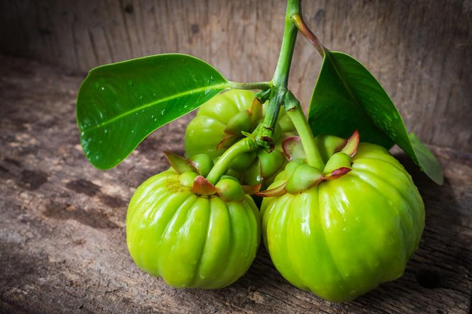 What Are the Benefits of Garcinia Cambogia For Weight Management?
