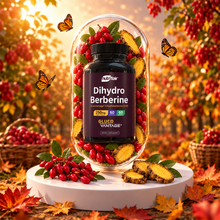 DihydroBerberine 250mg, 60 Capsules